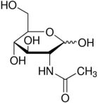 N-Acetyl D-Glucosamine Molecular Formula